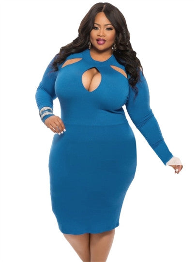 Plain Pencil Plus Size Long Sleeve Women's Sheath Dress